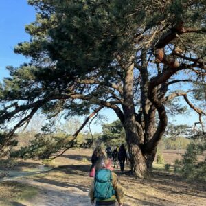 5. Bosbaden op zaterdag. Breedenbroeks bos. Za 3 augustus.